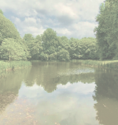 image of a campground